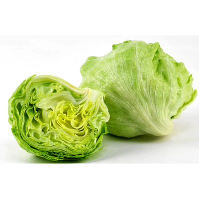 LAITUE ICEBERG