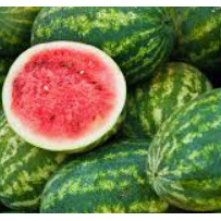 MELON D'EAU GRANDEUR 60