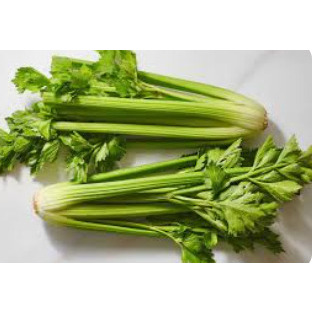 CELERI
