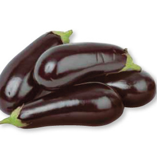 AUBERGINE