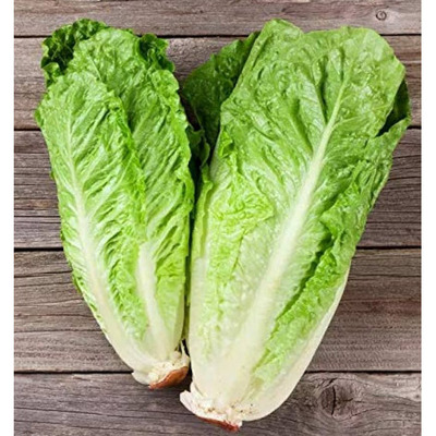 LAITUE ROMAINE PRODUIT DE QUÉBEC