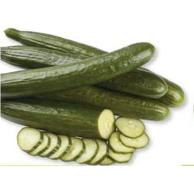 Concombre Anglias