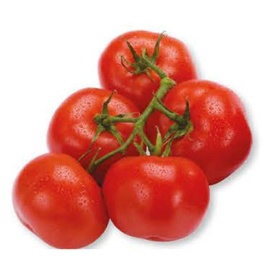 TOMATES EN GRAPPE