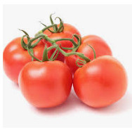TOMATES DE SERRE