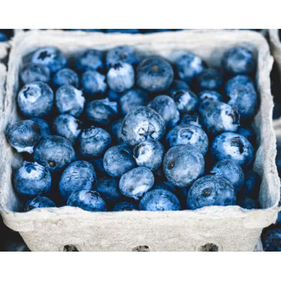 BLEUETS