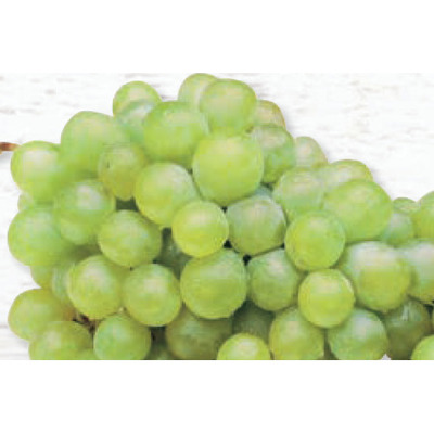RAISINS VERTS SAN PEPINS