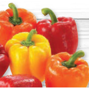 POIVRONS ROUGE, JAUNE OU ORANGE